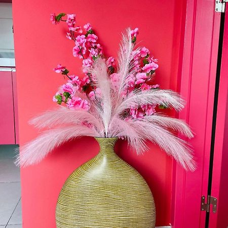 O Apartamento Rosa João Pessoa Exteriér fotografie