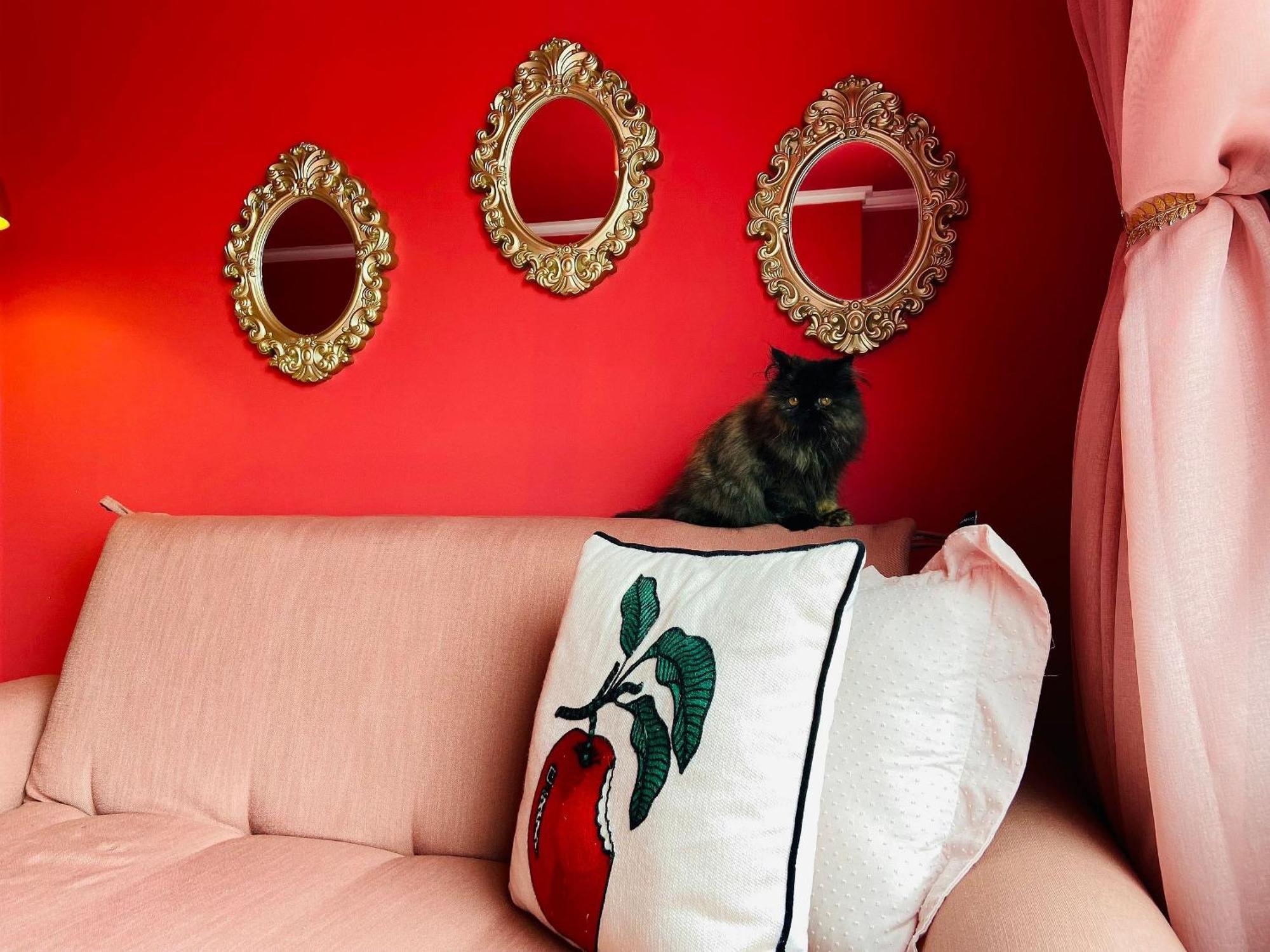 O Apartamento Rosa João Pessoa Exteriér fotografie